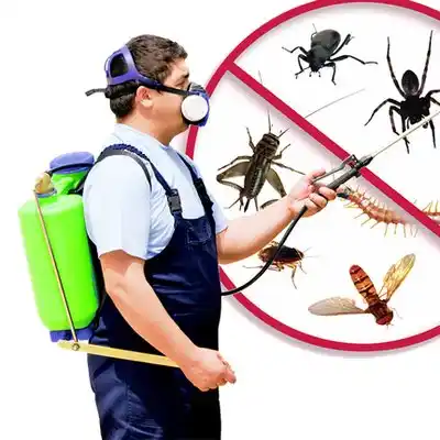 pest control Coalton
